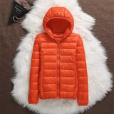 METTA TRANSITIONAL PADDED JACKET | ORANGE